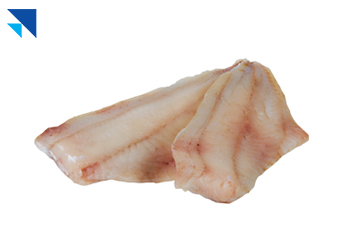 Panga Fileto